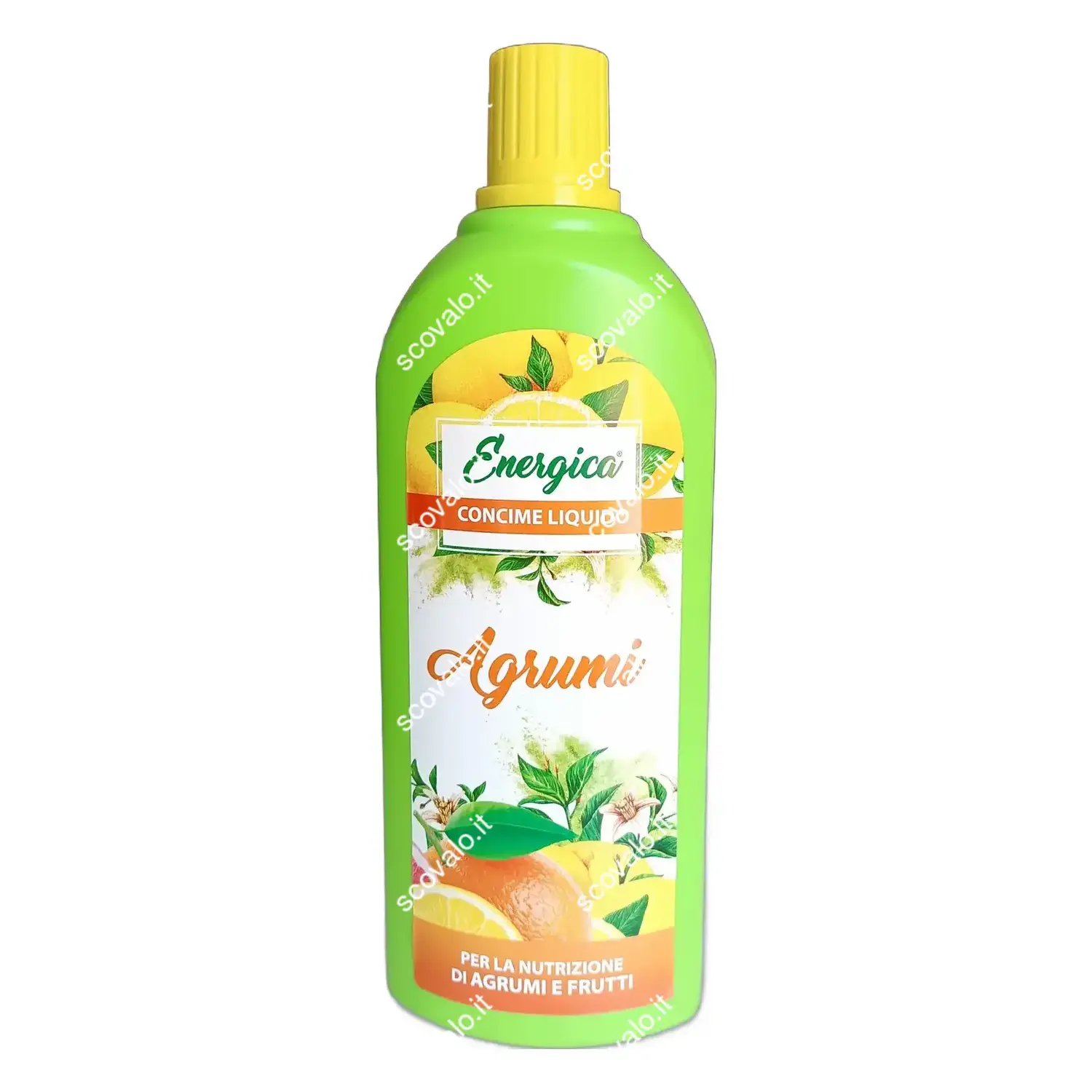 immagine del prodotto concime liquido pianta di agrumi limone arancio 1lt rinverdente